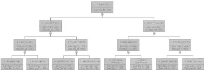 A Family Tree Based on Your Grandparents image 2