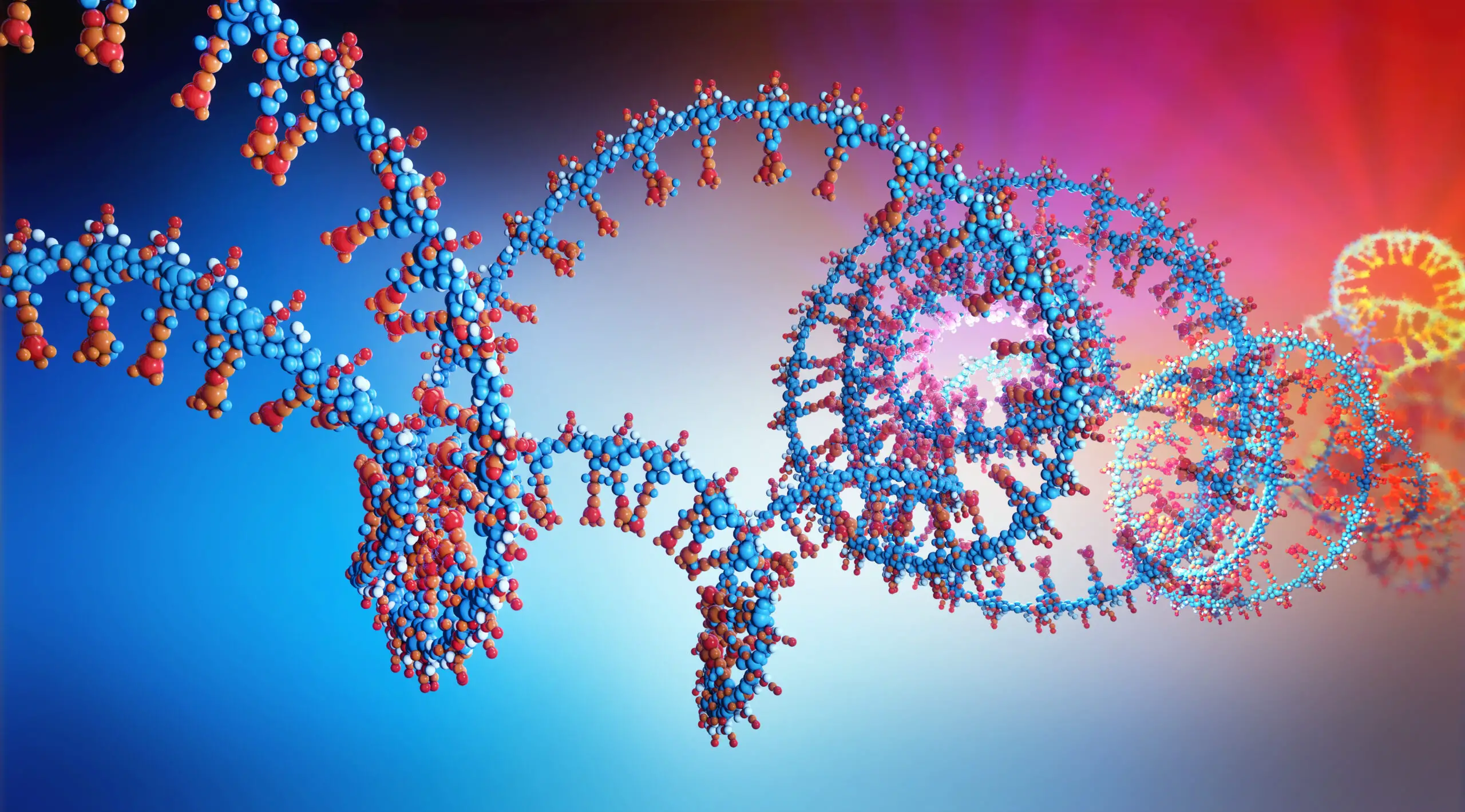 During Which Step In The Pcr Cycle Are Nucleotides Used? A Better Guide To Know